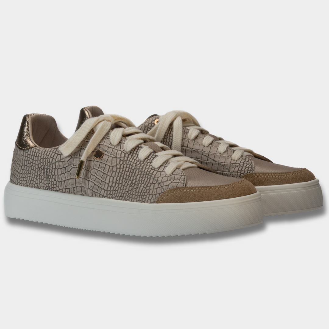 SNEAKER SENEGAL FOSIL ARTICO