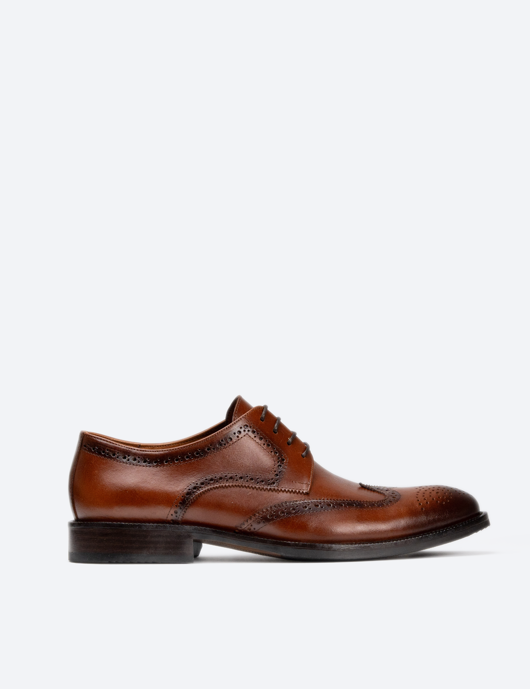 ZAPATO BOLONIA MIEL
